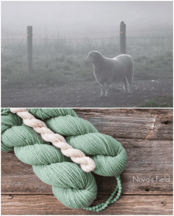 Sleeping Bear Yarn Club