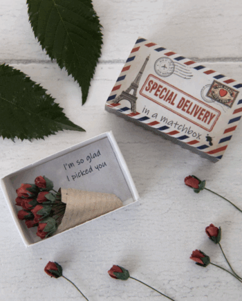 Dozen Roses in a Matchbox