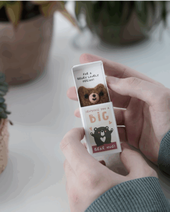 Big Bear Hug Wool Felt Bear in a Matchbox