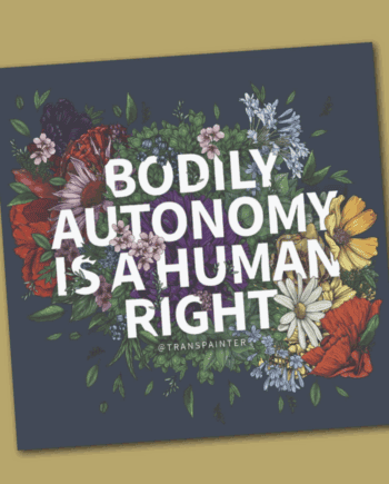 Bodily Autonomy Is A Human Right Transpainter Sticker