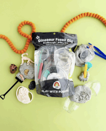 Dinosaur Fossil Dig Kiddough Play Kit