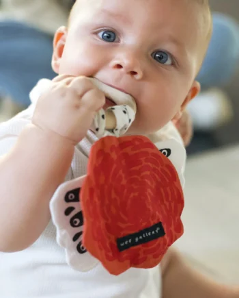 Crinkle Teether - Butterfly
