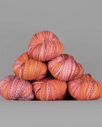 Reckless Abandon Spincycle Yarns Dyed in the Wool
