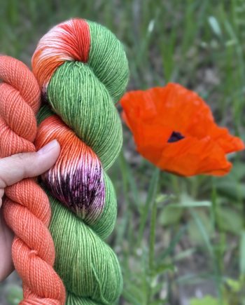 Roadside Poppy A Chick That Knitz Assigned Pooling